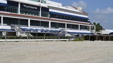¡Volaron en Florida! Entérate aquí de los mejores ejercicios de este viernes en Gulfstream Park ¡Volaron en Florida! Entérate aquí de los mejores ejercicios de este viernes en Gulfstream Park