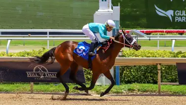 ¡Sendo batacazo! Yunta venezolana genera un pago de 30 a 1 en la taquilla en Gulfstream Park ¡Sendo batacazo! Yunta venezolana genera un pago de 30 a 1 en la taquilla en Gulfstream Park