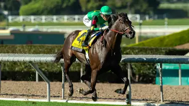 El Potente no correrá la Shoemaker Mile (G1T) por esta causa El Potente no correrá la Shoemaker Mile (G1T) por esta causa