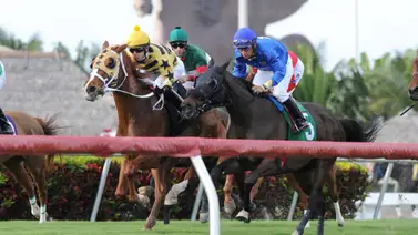 Meridiano Hípico te da los datos para las carreras internacionales con La Previa Hípica Meridiano Hípico te da los datos para las carreras internacionales con La Previa Hípica