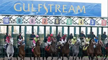 Pronósticos Gulfstream Park: picks gratis y el dato clave para el sábado 23 de mayo Pronósticos Gulfstream Park: picks gratis y el dato clave para el sábado 23 de mayo