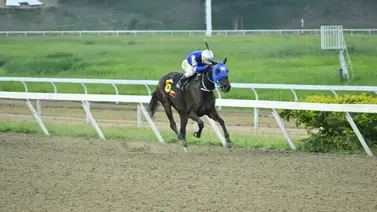 Amenaza para la línea del 5y6 ante el ajuste técnico de esta yegua en La Rinconada Amenaza para la línea del 5y6 ante el ajuste técnico de esta yegua en La Rinconada
