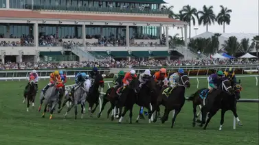 Así quedaron los resultados de las carreras en Gulfstream Park para el viernes 22-5-2026 Así quedaron los resultados de las carreras en Gulfstream Park para el viernes 22-5-2026