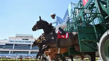 Apuesta en Meridiano con la polla hípica en las carreras internacionales Apuesta en Meridiano con la polla hípica en las carreras internacionales
