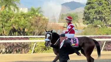 Tipos de apuestas de hipismo nacional en MeridianoBet Tipos de apuestas de hipismo nacional en MeridianoBet