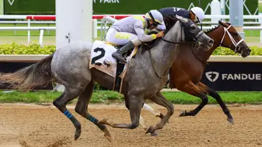 Prospera el reclamo: Lennilu se lleva el Game Face Stakes por vía reglamentaria en Gulfstream Park Prospera el reclamo: Lennilu se lleva el Game Face Stakes por vía reglamentaria en Gulfstream Park