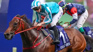 ¡Hazaña en Hong Kong! Romantic Warrior sella su inmortalidad y conquista la Triple Corona ¡Hazaña en Hong Kong! Romantic Warrior sella su inmortalidad y conquista la Triple Corona