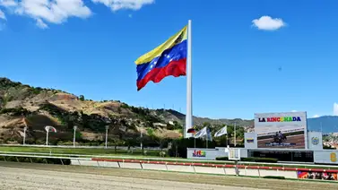 Sancionado entrenador en La Rinconada tras resoluciones de los Comisarios Sancionado entrenador en La Rinconada tras resoluciones de los Comisarios
