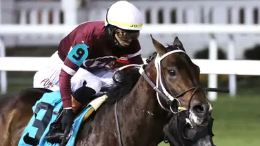 Magnitude, ganador de la Dubai World Cup (G1) se alista para los 2 millones de dólares del Stephen Foster Stakes (G1) Magnitude, ganador de la Dubai World Cup (G1) se alista para los 2 millones de dólares del Stephen Foster Stakes (G1)