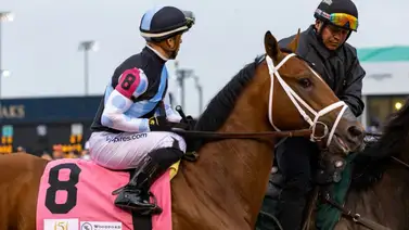Journalism podría unirse a Sovereignty y compañía en el Stephen Foster Stakes (G1), aquí los detalles Journalism podría unirse a Sovereignty y compañía en el Stephen Foster Stakes (G1), aquí los detalles