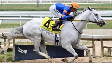 White Abarrio se alista para los dos millones de dólares del Stephen Foster Stakes (G1) White Abarrio se alista para los dos millones de dólares del Stephen Foster Stakes (G1)