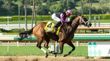 El duelo de la semana: Jaramillo vs Hernández por los $200,000 del Santa Margarita Stakes (G2) en Santa Anita Park El duelo de la semana: Jaramillo vs Hernández por los $200,000 del Santa Margarita Stakes (G2) en Santa Anita Park