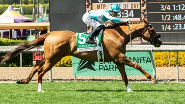 Thought Process responde en el Memorial Day y se queda con el Gamely Stakes G1 en Santa Anita Park Thought Process responde en el Memorial Day y se queda con el Gamely Stakes G1 en Santa Anita Park