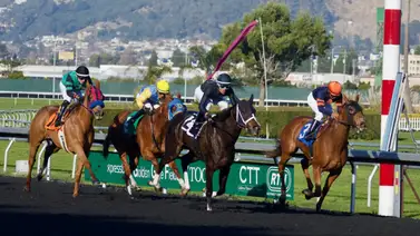 Comisarios declaran culpable de tres cargos a jockey profesional y lo suspenden 13 años Comisarios declaran culpable de tres cargos a jockey profesional y lo suspenden 13 años