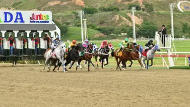 La Rinconada despide el mes con 13 carreras y una Condicional Especial este domingo La Rinconada despide el mes con 13 carreras y una Condicional Especial este domingo