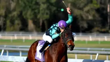 Yoqueta latina lidera la estadística en este hipódromo en Estados Unidos Yoqueta latina lidera la estadística en este hipódromo en Estados Unidos