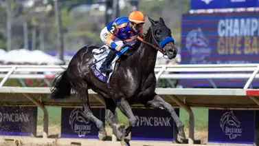 Duelo de campeonas: Splendora vs Immersive en el Shawnee Stakes G2 el sábado en Churchill Downs Duelo de campeonas: Splendora vs Immersive en el Shawnee Stakes G2 el sábado en Churchill Downs