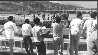 Así fue cómo nació la Biblia del Hipismo Gaceta Hípica hace 76 años Así fue cómo nació la Biblia del Hipismo Gaceta Hípica hace 76 años