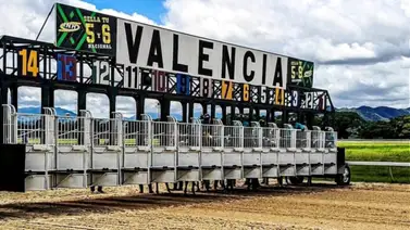 HINAVA: La Copa "Tuki Montón" encabeza la decima tercera reunión del año en Valencia HINAVA: La Copa "Tuki Montón" encabeza la decima tercera reunión del año en Valencia
