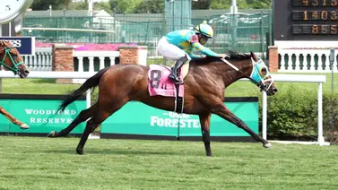 Pin Up Betty busca la repetida en el Mint Julep Stakes G3 de Churchill Downs Pin Up Betty busca la repetida en el Mint Julep Stakes G3 de Churchill Downs