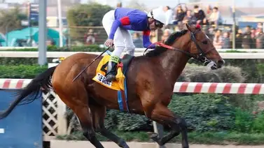 Emisael Jaramillo reta al ganador del Santa Anita Derby (G1) con este ejemplar importado en el Triple Bend Stakes (G3) Emisael Jaramillo reta al ganador del Santa Anita Derby (G1) con este ejemplar importado en el Triple Bend Stakes (G3)