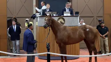 Hijo de Flightline comprado por $2.1millones por agente venezolano salta a la cancha en Santa Anita Park Hijo de Flightline comprado por $2.1millones por agente venezolano salta a la cancha en Santa Anita Park