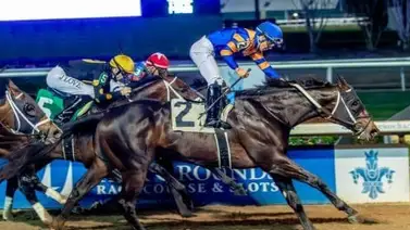 Chip Honcho queda fuera del Belmont Stakes (G1) Chip Honcho queda fuera del Belmont Stakes (G1)