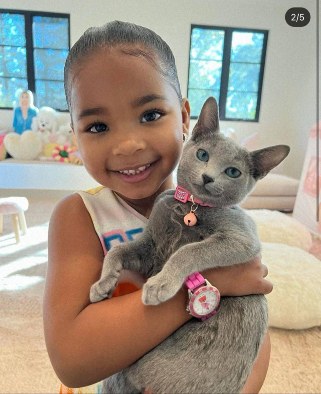 Miembro del clan Kardashian causa indignación por amputar las garras de sus gatos 
