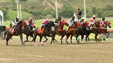 Mucho ojo: Entérate de la nieta materna de un destacado triplecoronado que estrena cuadra y prometerá sorprender en La Rinconada Mucho ojo: Entérate de la nieta materna de un destacado triplecoronado que estrena cuadra y prometerá sorprender en La Rinconada