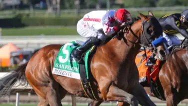 Belmont Stakes: Potente no estará en la tercera gema y Bob Baffert revela su futuro Belmont Stakes: Potente no estará en la tercera gema y Bob Baffert revela su futuro
