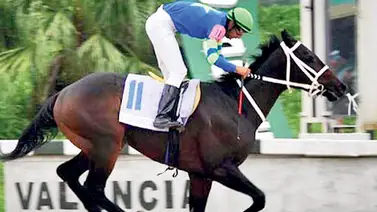 Gran campeón: Entérate de la trayectoria y el legado de un inolvidable Triple Coronado de Valencia Gran campeón: Entérate de la trayectoria y el legado de un inolvidable Triple Coronado de Valencia