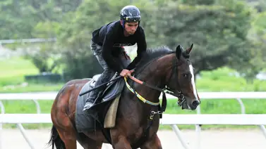 Yamper González habla claro: "No olviden a este caballo que hará una buena actuación" Yamper González habla claro: "No olviden a este caballo que hará una buena actuación"