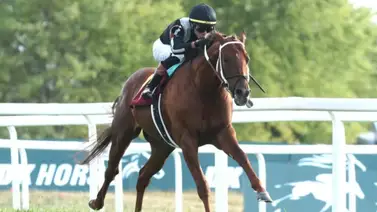 Lagynos con José Ortiz busca mantener la racha en el Arlington Stakes G3 de Churchill Downs Lagynos con José Ortiz busca mantener la racha en el Arlington Stakes G3 de Churchill Downs