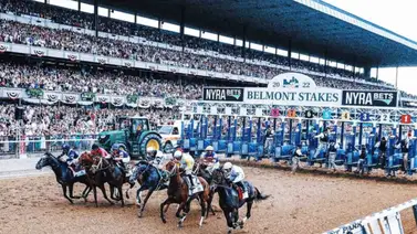 Ejemplar que arriba tercero en el Santa Anita Derby (G1) corre el Belmont Stakes (G1) Ejemplar que arriba tercero en el Santa Anita Derby (G1) corre el Belmont Stakes (G1)