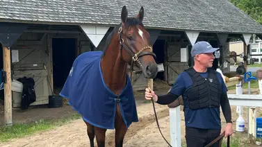 El campeón Journalism llega a Saratoga rumbo al Metropolitan Handicap (G1) El campeón Journalism llega a Saratoga rumbo al Metropolitan Handicap (G1)