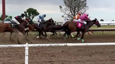 ¡Saldo insuficiente! Hipódromo estadounidense anuncia cancelación de su temporada ¡Saldo insuficiente! Hipódromo estadounidense anuncia cancelación de su temporada