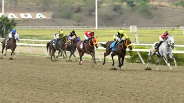 El caballo de la carrera: Un ajuste fenómeno en La Rinconada lo mete en la pelea dominical El caballo de la carrera: Un ajuste fenómeno en La Rinconada lo mete en la pelea dominical