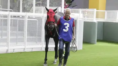 Reporte de retiros: El establo de Riccardo D’Angelo sufre una deserción para este domingo en La Rinconada Reporte de retiros: El establo de Riccardo D’Angelo sufre una deserción para este domingo en La Rinconada