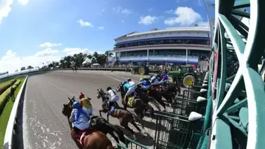 ¡Anota y Gana! Meridiano Hípico te informa con La Previa Internacional para Gulfstream Park ¡Anota y Gana! Meridiano Hípico te informa con La Previa Internacional para Gulfstream Park