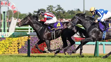 Lovcen busca la doble corona desde el puesto 17 en un emocionante Tokyo Yushun (G1) Lovcen busca la doble corona desde el puesto 17 en un emocionante Tokyo Yushun (G1)