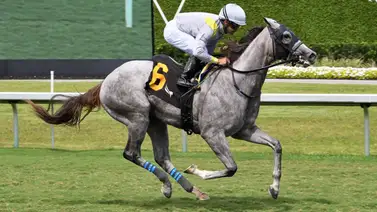 Costó $600.000 y es favorita: Potra va por su primer triunfo con Javier Castellano en Monmouth Park Costó $600.000 y es favorita: Potra va por su primer triunfo con Javier Castellano en Monmouth Park