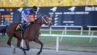 Belmont Stakes: Renegade es el gran favorito según las grandes casas receptoras de jugadas Belmont Stakes: Renegade es el gran favorito según las grandes casas receptoras de jugadas