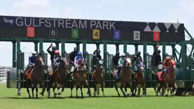 Pronósticos Gulfstream Park: picks gratis y el dato clave para el sábado 30 de mayo Pronósticos Gulfstream Park: picks gratis y el dato clave para el sábado 30 de mayo