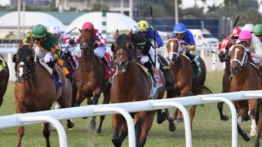 Así quedaron los resultados de las carreras en Gulfstream Park para el viernes 29-5-2026 Así quedaron los resultados de las carreras en Gulfstream Park para el viernes 29-5-2026