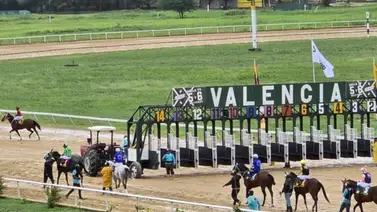 Sábado hípico en el Hipódromo de Valencia Sábado hípico en el Hipódromo de Valencia