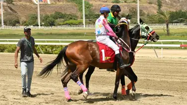 Cifras ganadoras: El número de gualdrapa clave para asegurar tus combinaciones del domingo en La Rinconada Cifras ganadoras: El número de gualdrapa clave para asegurar tus combinaciones del domingo en La Rinconada