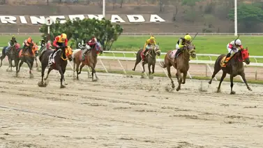 Olvidada: Yegua que ganó y la bajaron ajusta contenida para este domingo en La Rinconada Olvidada: Yegua que ganó y la bajaron ajusta contenida para este domingo en La Rinconada