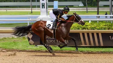 No lo dejes por fuera: Estas son las torres de Samy Camacho del sábado en Gulfstream Park No lo dejes por fuera: Estas son las torres de Samy Camacho del sábado en Gulfstream Park