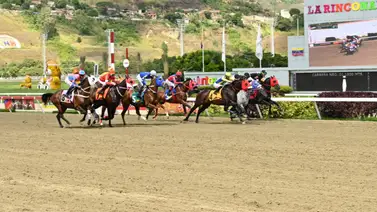 La Rinconada: Datos de Última Hora para el 31-05-2026 La Rinconada: Datos de Última Hora para el 31-05-2026