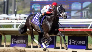 Bentornato, Caballo del Año de Florida, trabaja fenómeno para la revancha en el True North Stakes (G3) Bentornato, Caballo del Año de Florida, trabaja fenómeno para la revancha en el True North Stakes (G3)